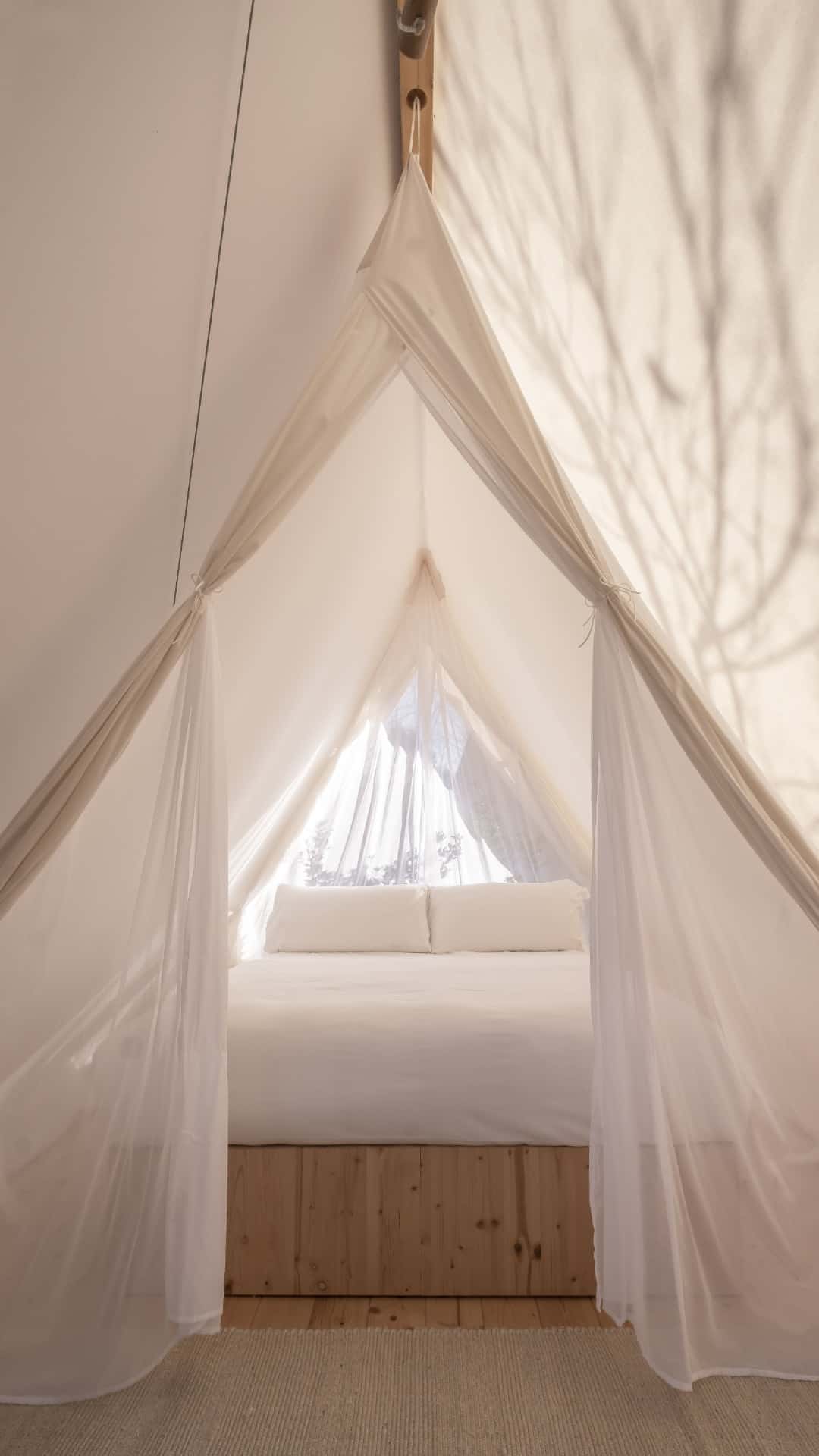 Minimalist, functional design